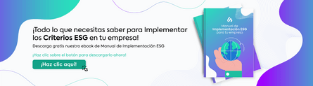 Banner manual de implementación ESG