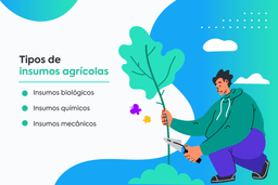 Conheça os tipos de insumos agrícolas.
